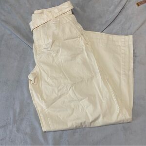 Everlane Easy wide leg high rise pleaded front organic cotton blend pants